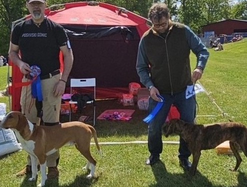 Utställningskommittén SSDV 26